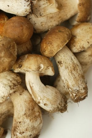 Salsa de champiñones para pastas