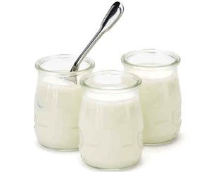 Yogur natural casero