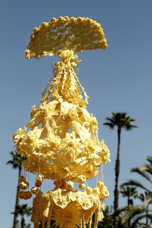 Domingo de Ramos en Elche