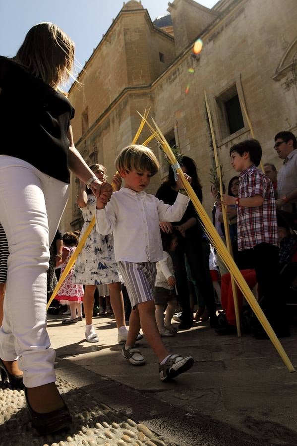 Domingo de Ramos en Elche