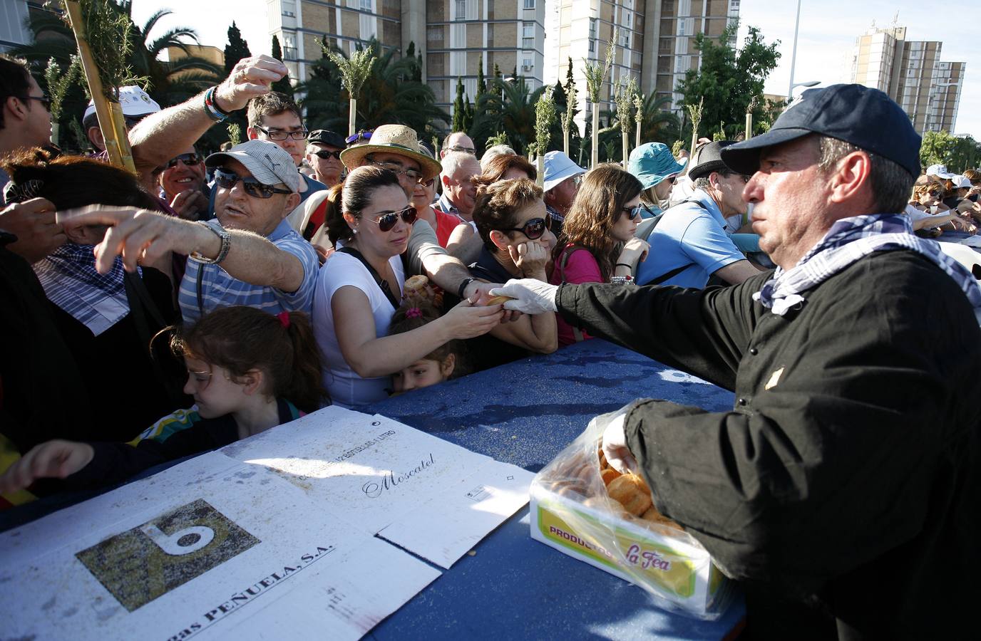 Romería de la Santa Faz de 2014 (I)