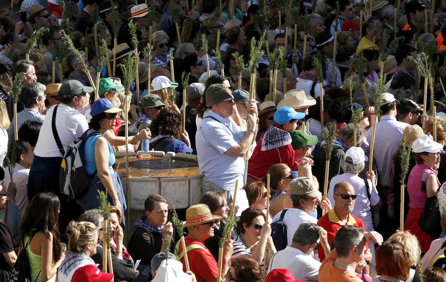 Romería de la Santa Faz de 2014 (I)