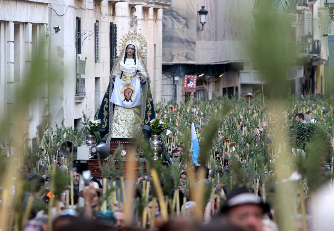 Romería de la Santa Faz de 2014 (II)