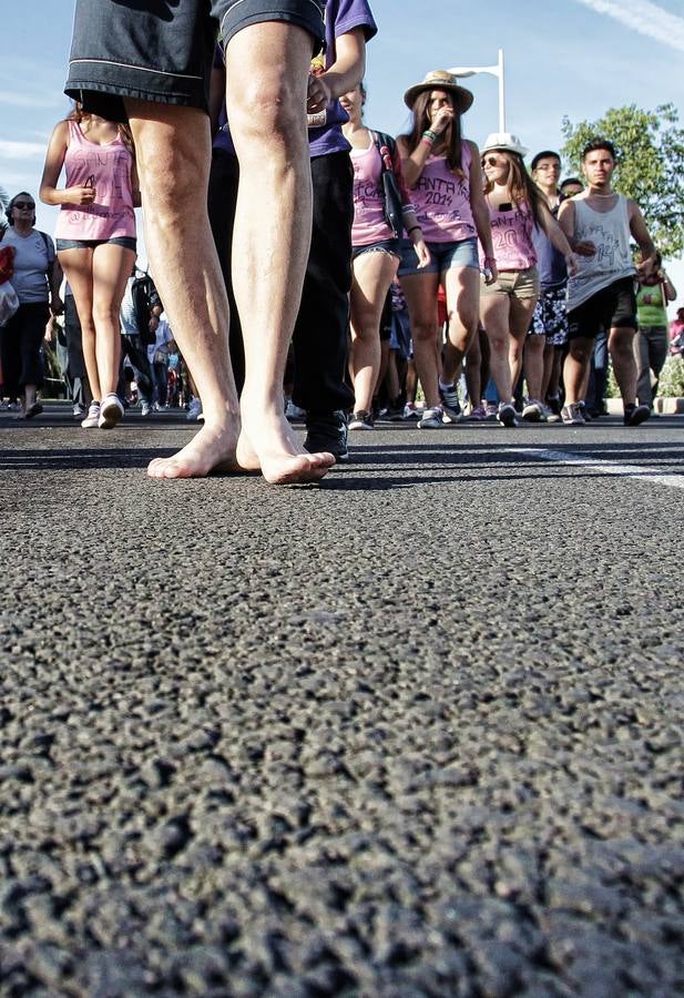 Romería de la Santa Faz de 2014 (II)