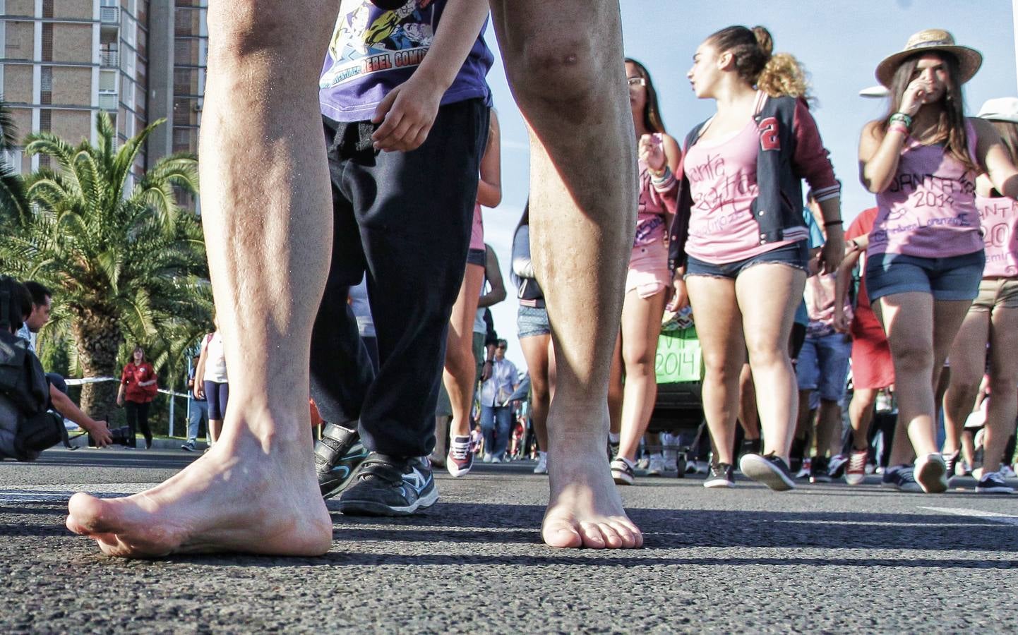 Romería de la Santa Faz de 2014 (II)