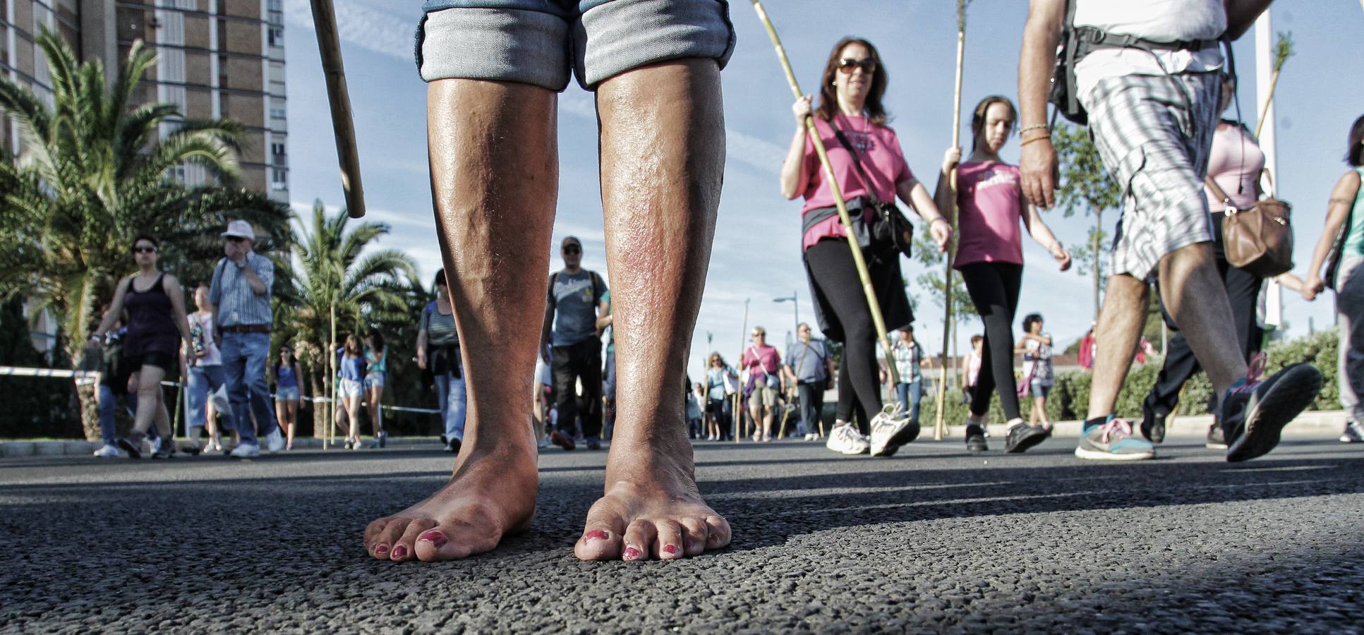 Romería de la Santa Faz de 2014 (II)