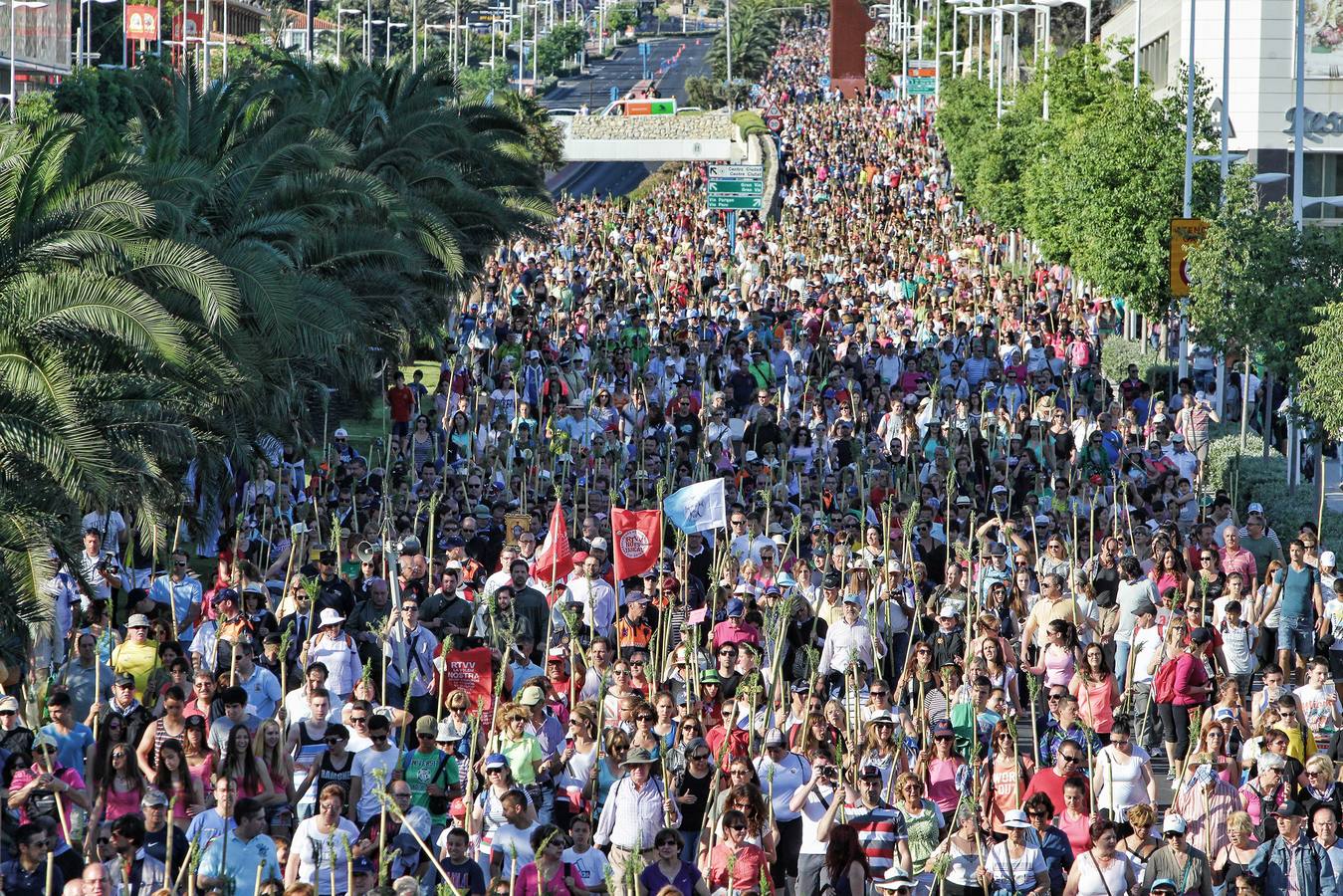 Romería de la Santa Faz de 2014 (II)