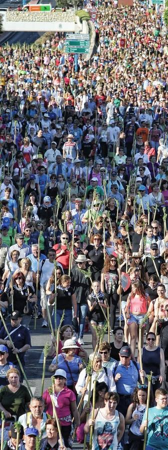 Romería de la Santa Faz de 2014 (II)