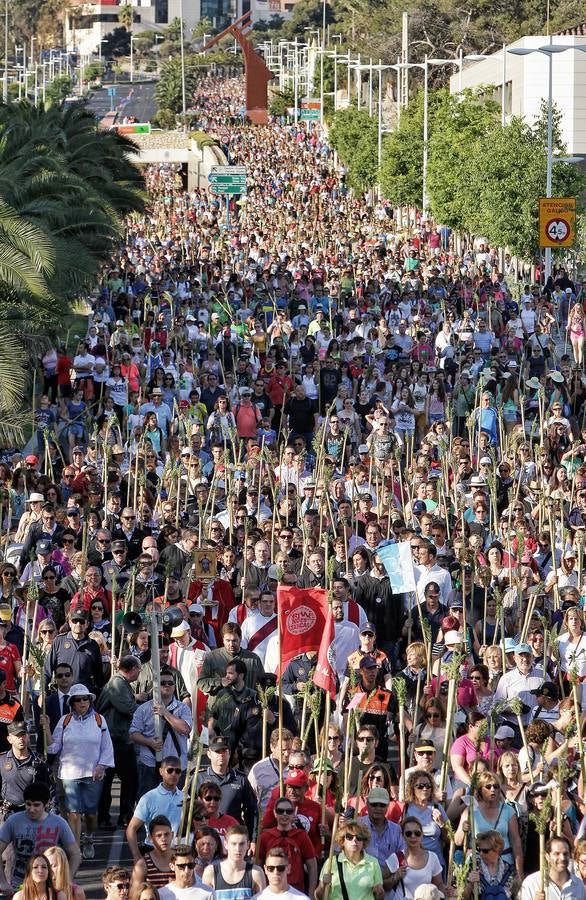 Romería de la Santa Faz de 2014 (II)