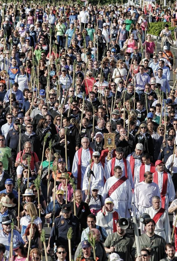 Romería de la Santa Faz de 2014 (II)