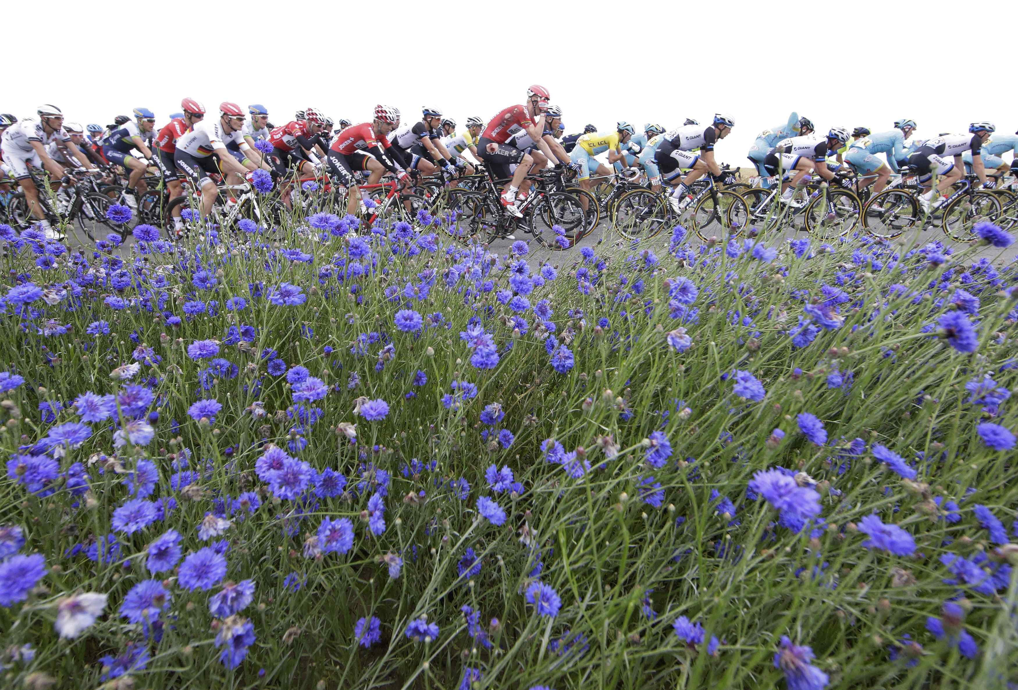 Kittel gana la sexta etapa del Tour