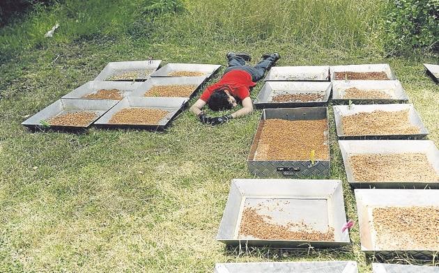 El investigador Ernesto Díaz, junto a cajas con miles de fósiles.