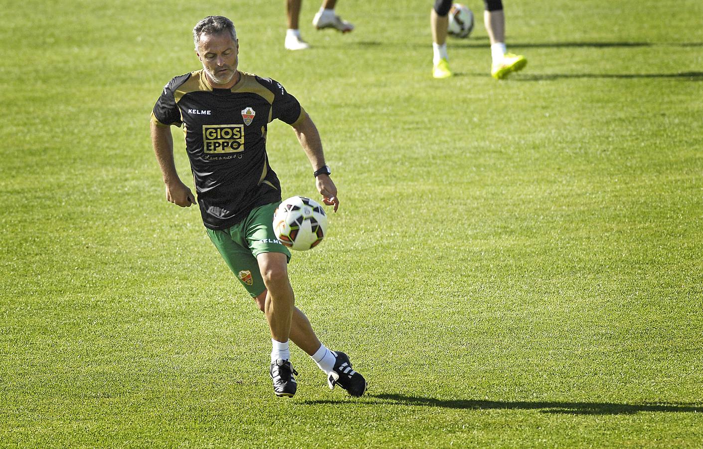 Entrenamiento franjiverde en Campoamor