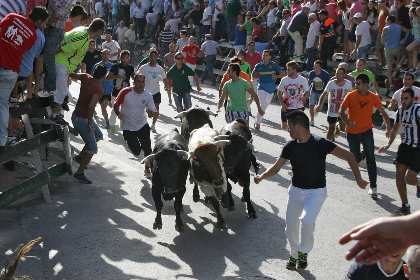 Primer encierro limpio en Calasparra