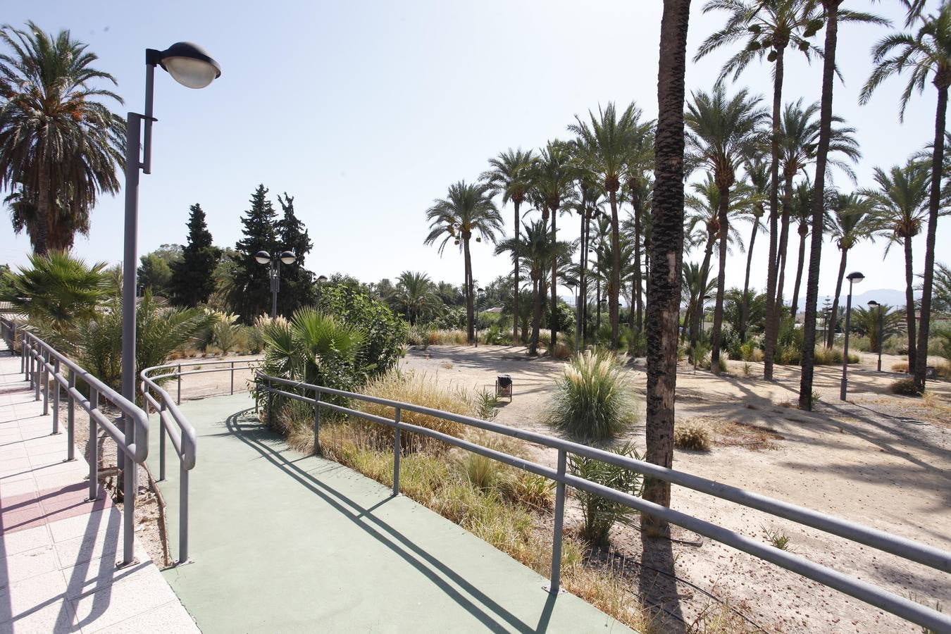 Un acuerdo con Profusa permite incorporar al patrimonio municipal el palmeral de Zaraíche