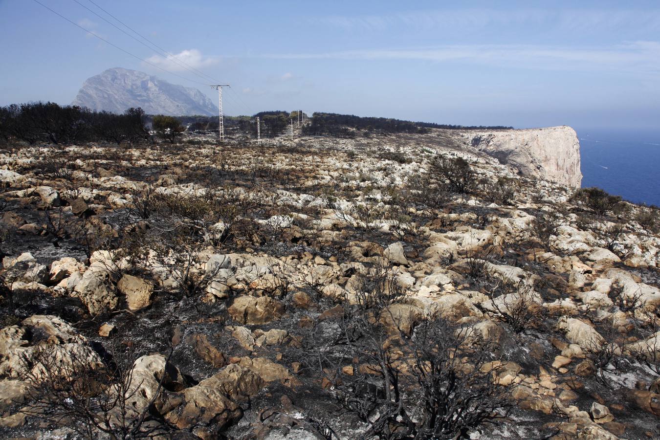 Tareas de limpieza tras el incendio forestal en el parque natural del Montgó