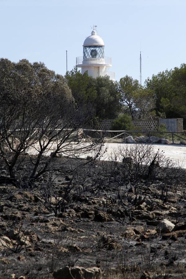 Tareas de limpieza tras el incendio forestal en el parque natural del Montgó