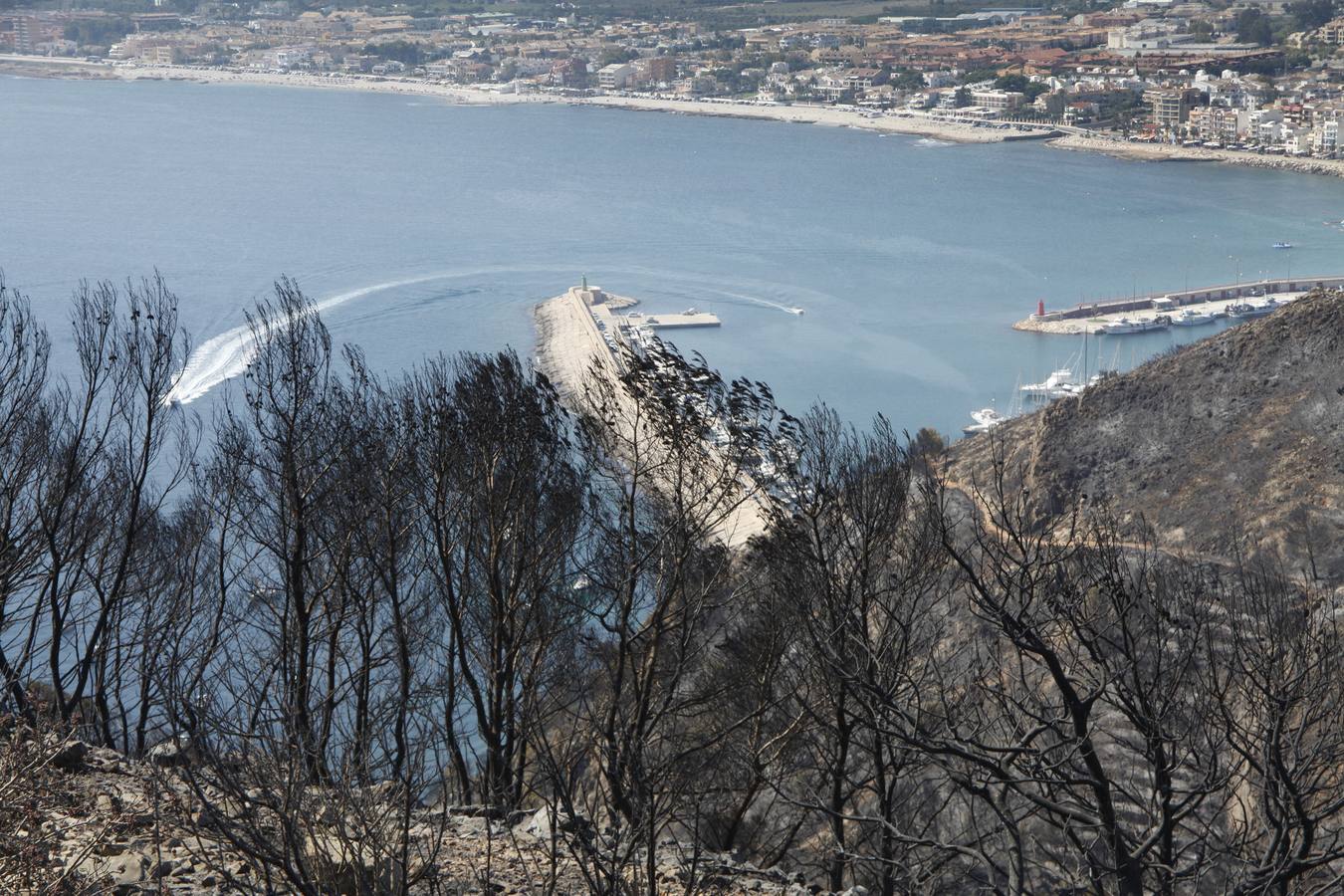 Tareas de limpieza tras el incendio forestal en el parque natural del Montgó