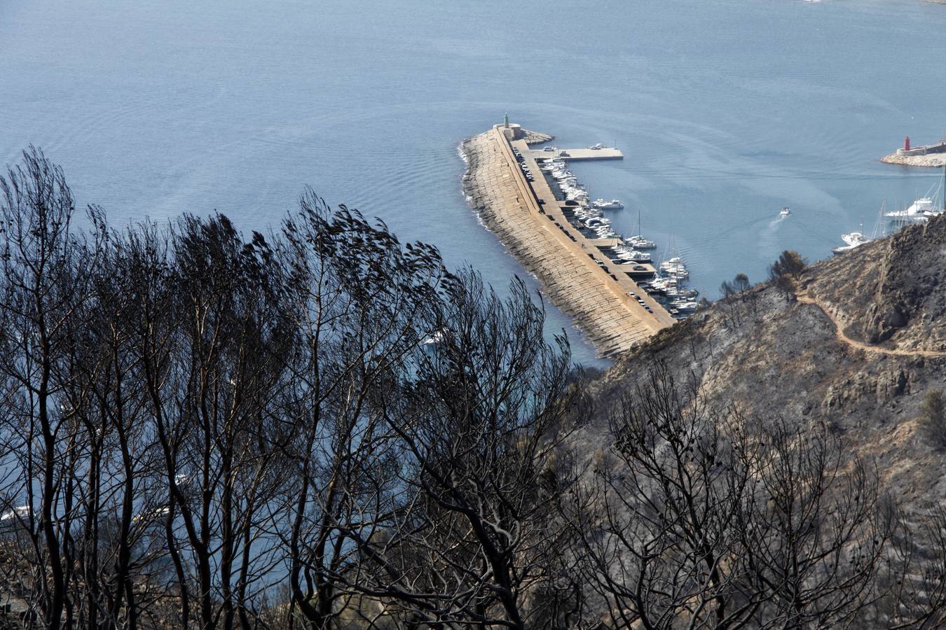 Tareas de limpieza tras el incendio forestal en el parque natural del Montgó