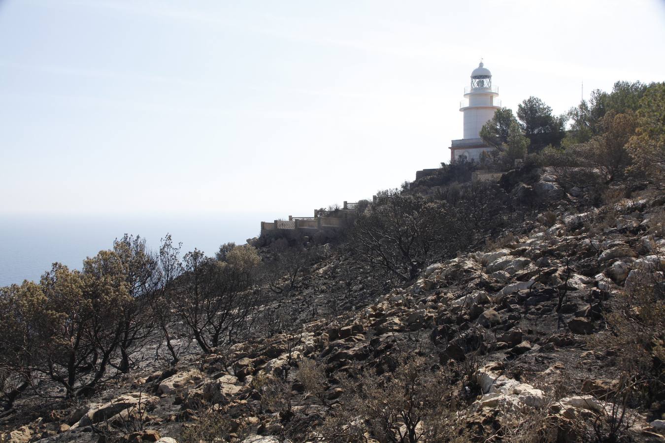 Tareas de limpieza tras el incendio forestal en el parque natural del Montgó