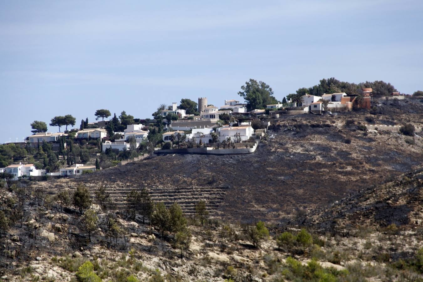 Tareas de limpieza tras el incendio forestal en el parque natural del Montgó