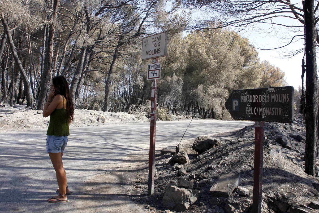 Tareas de limpieza tras el incendio forestal en el parque natural del Montgó