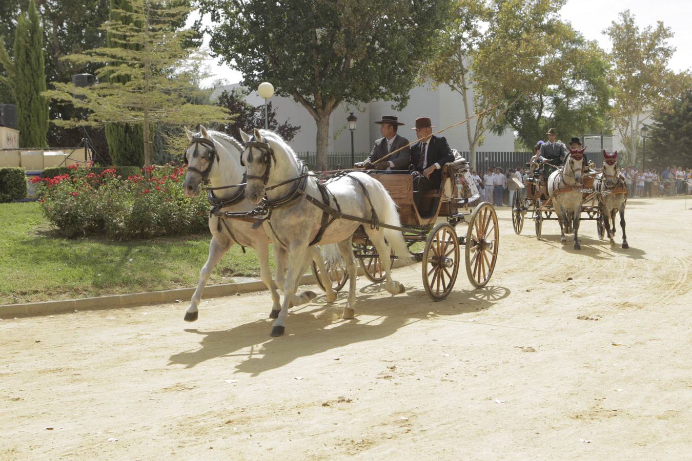 La alamedas se quedan pequeñas para acoger a los fieles de la Virgen de las Huertas