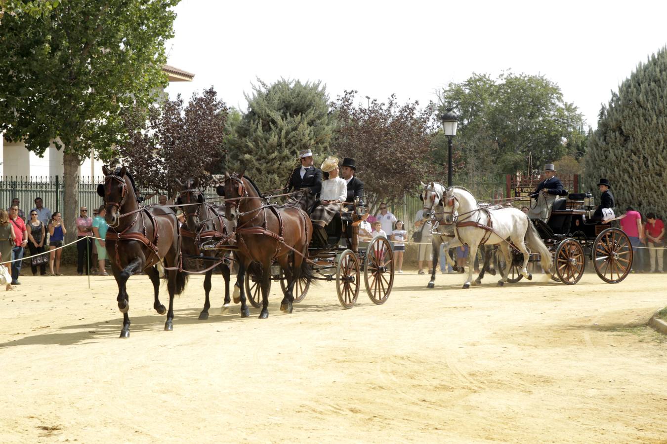 La alamedas se quedan pequeñas para acoger a los fieles de la Virgen de las Huertas
