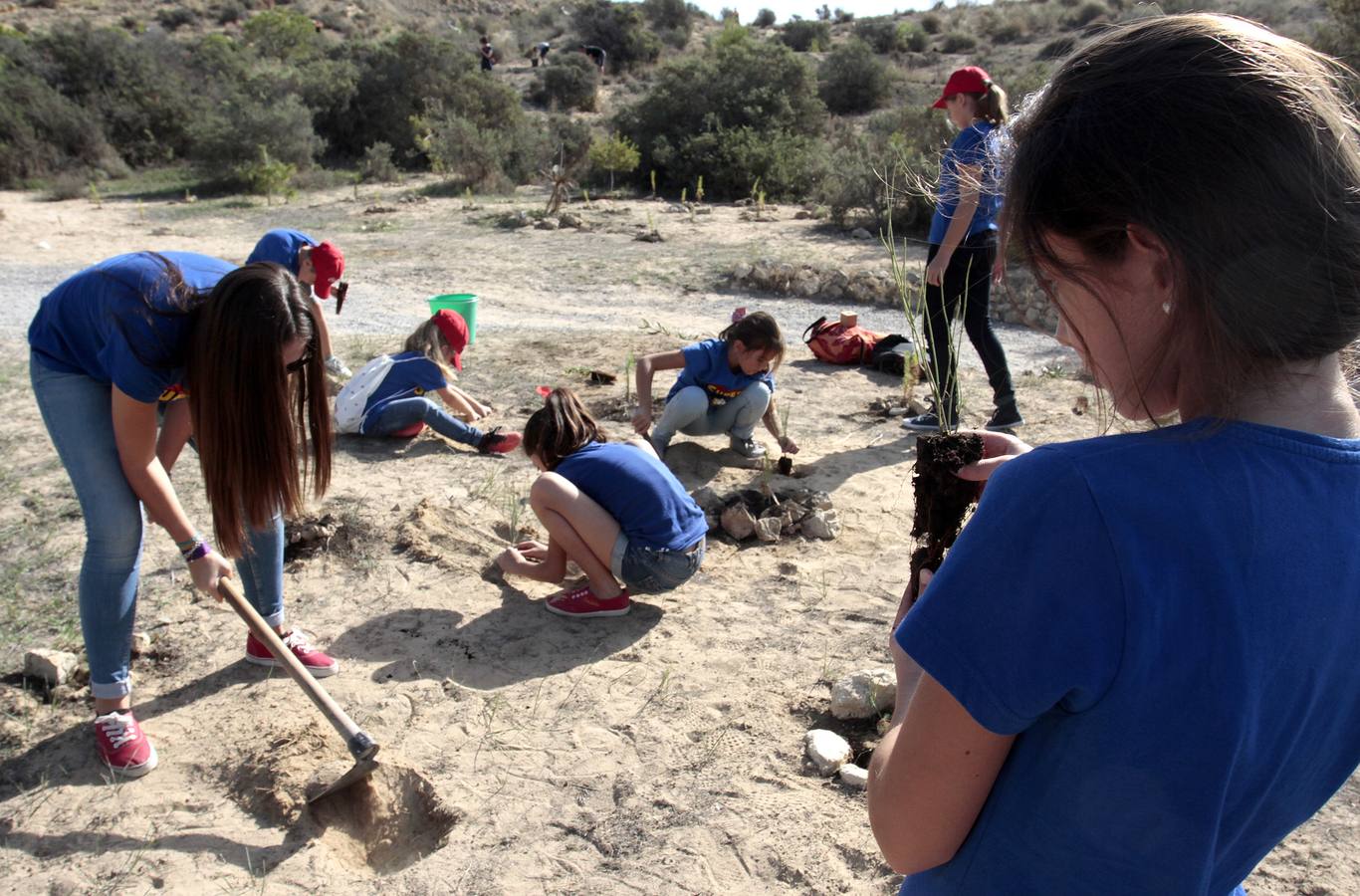 Las Hogueras celebran el Día del Árbol