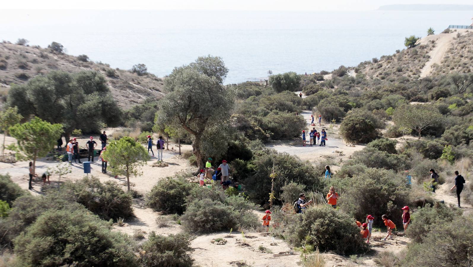 Las Hogueras celebran el Día del Árbol