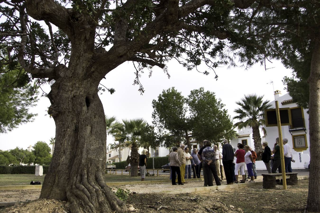 Vecinos en el parque rehabilitado de Villamartín