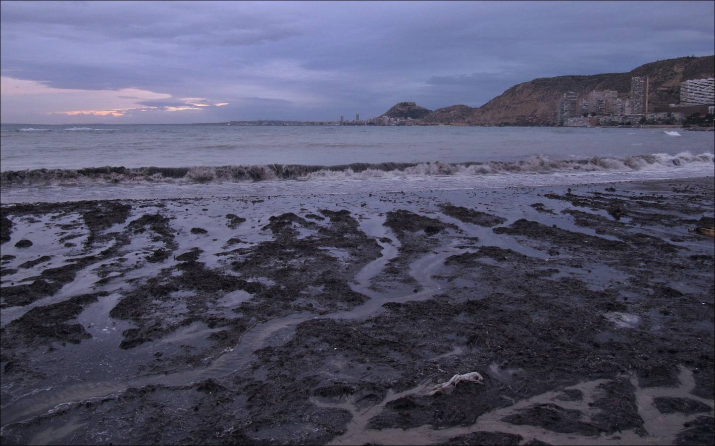 El temporal marítimo devora la playa de la Albufereta en Alicante