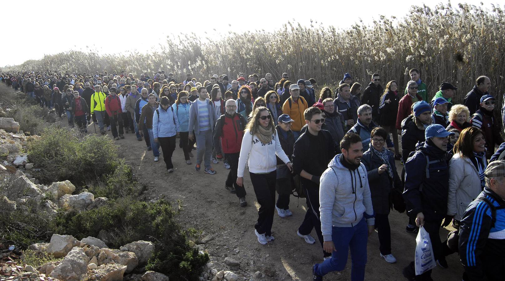 Romería de la Venida de la Virgen