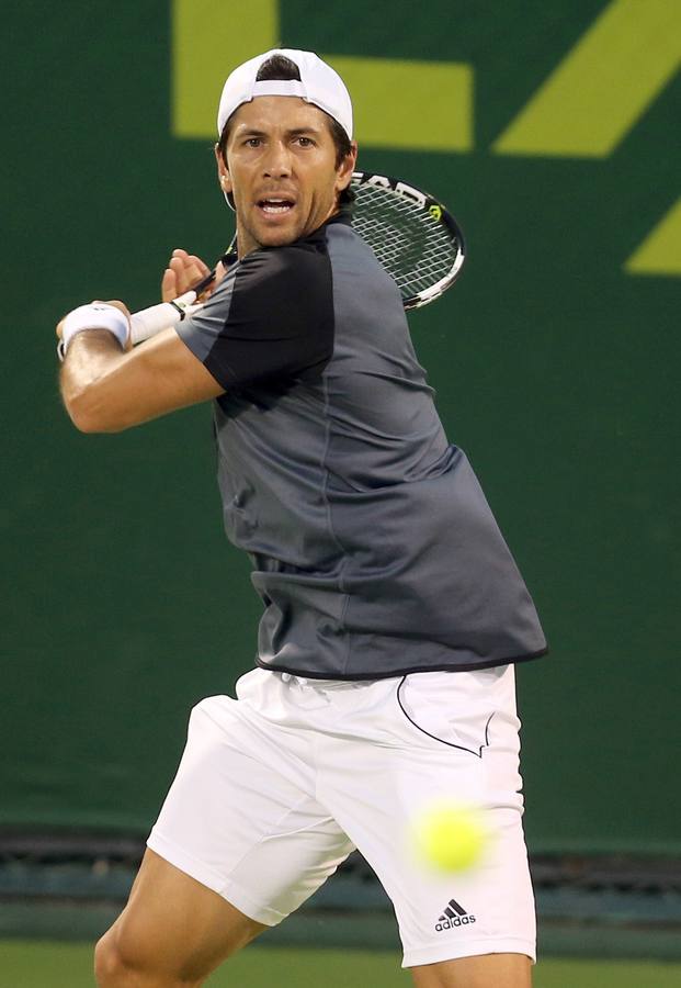 David Ferrer destaca su «buen juego» en la victoria ante Verdasco