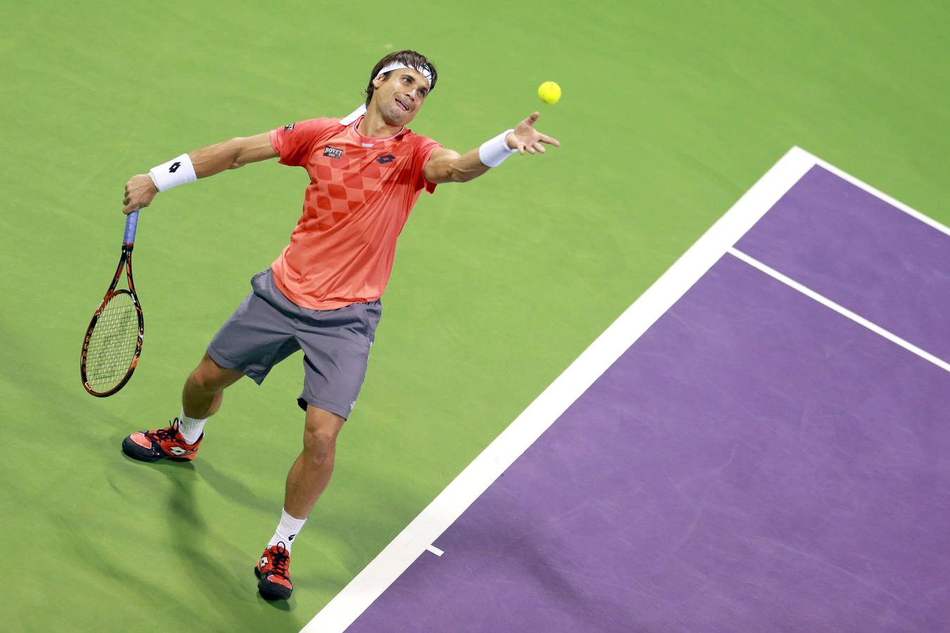 David Ferrer empieza el año con victoria en Doha