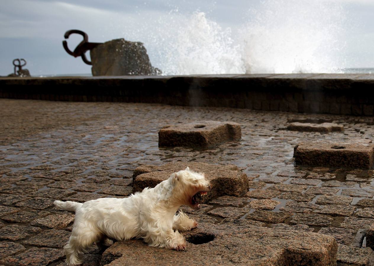 Un mar en alerta naranja