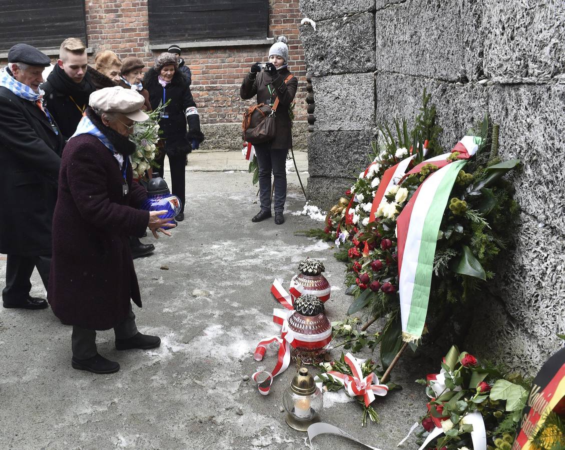 El Museo de Auschwitz fue creado en 1947 gracias a los esfuerzos de los prisioneros supervivientes y abarca 191 hectáreas que comprenden dos partes del campo: Auschwitz I y Auschwitz II-Birkenau.