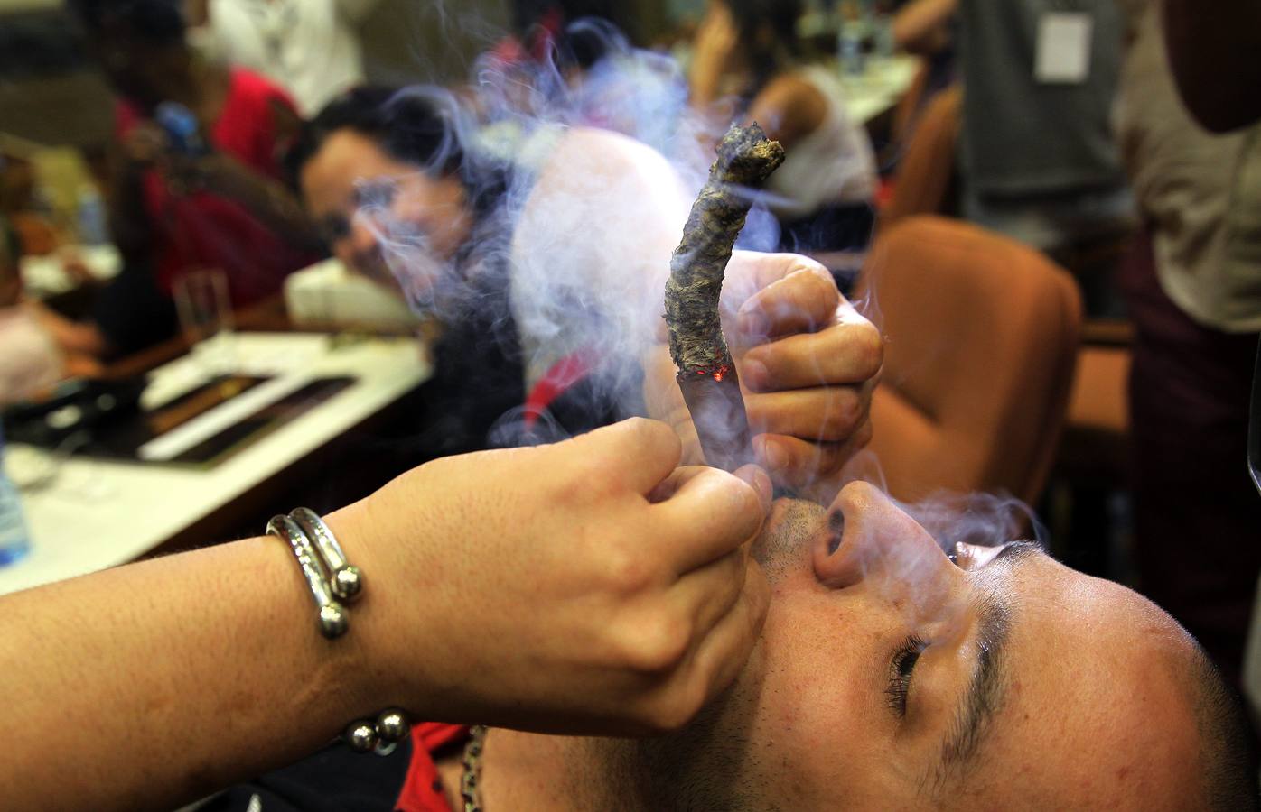 Concursantes apurados en el XVII Festival del Habano