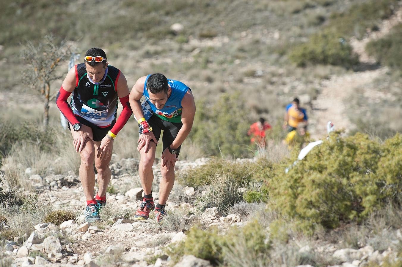 Jumilla celebra con éxito la II Carrera Popular