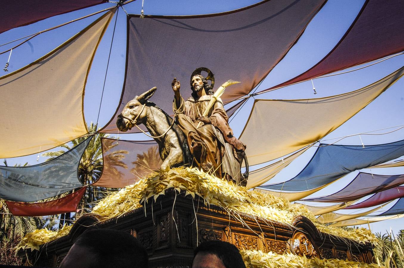 Procesión de Domingo de Ramos en Elche