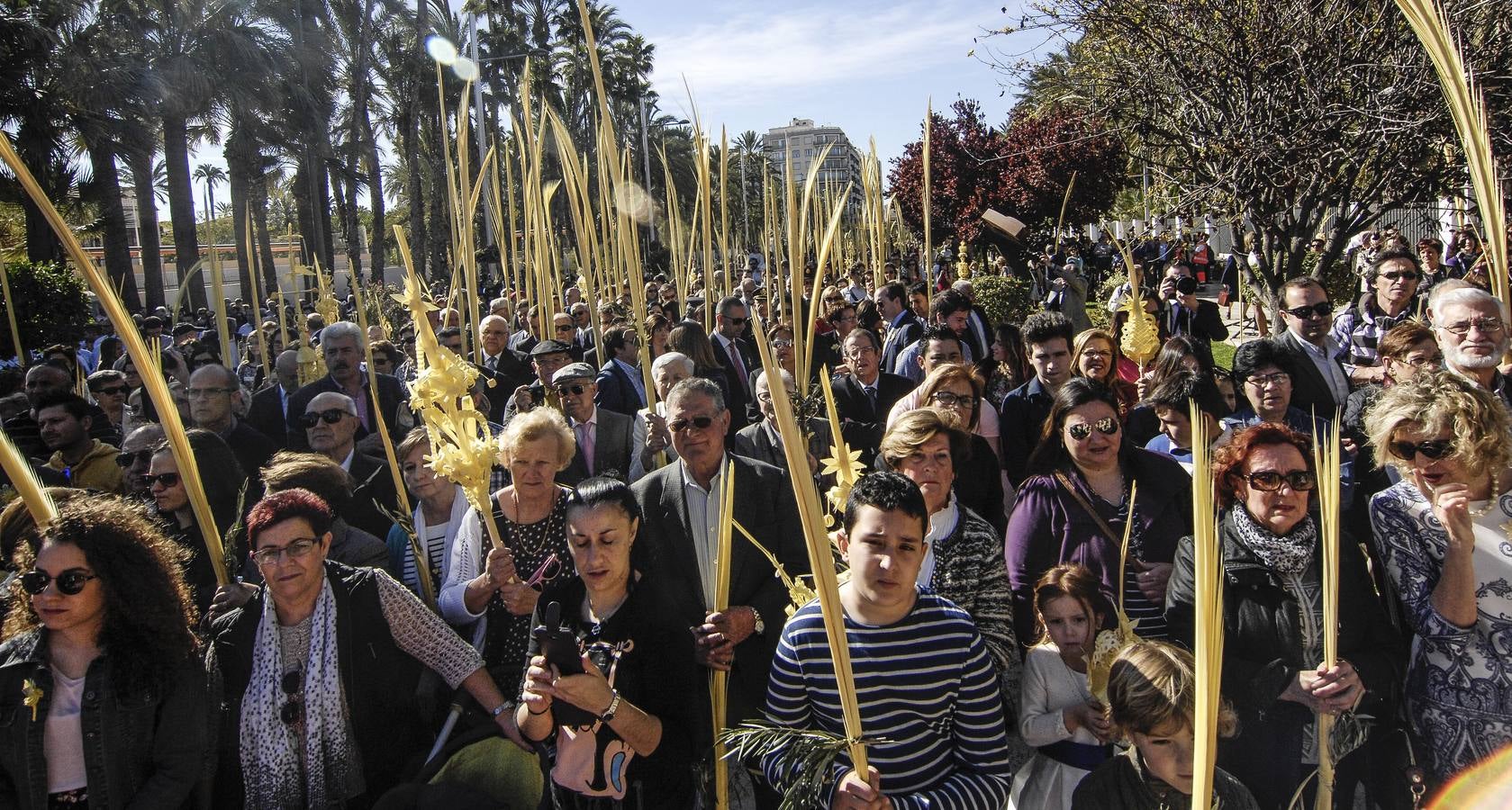 Procesión de Domingo de Ramos en Elche