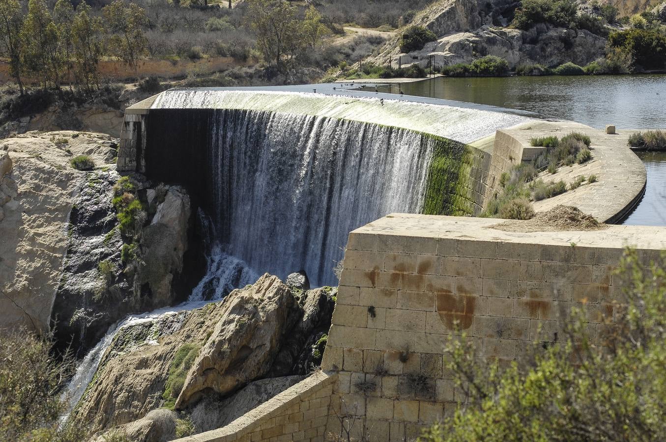 Pantano de Elche