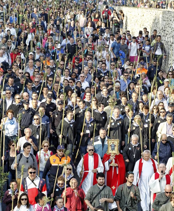 Romería de la Santa Faz (I)