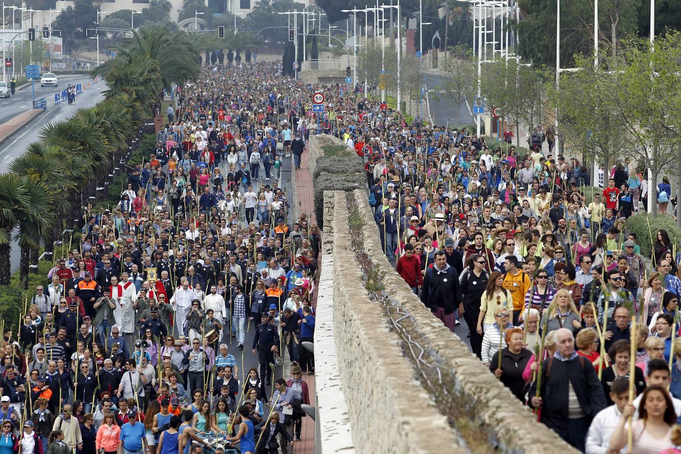 Romería de la Santa Faz (I)