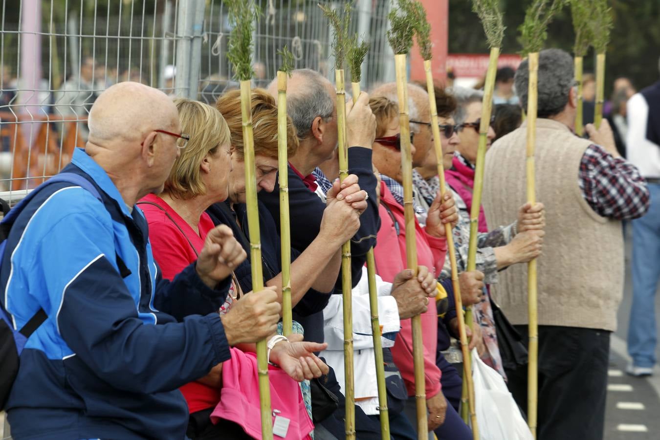 Romería de la Santa Faz (II)