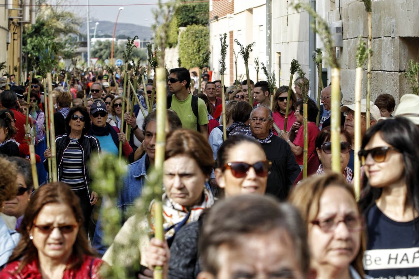 Romería de la Santa Faz (II)