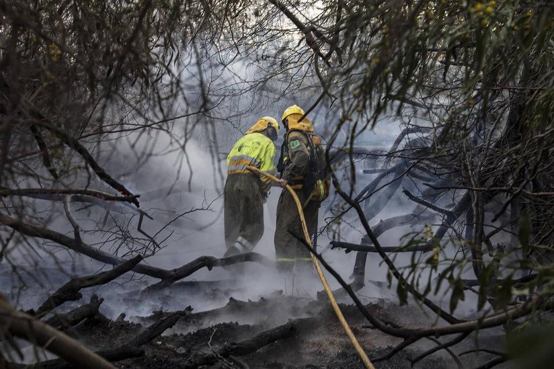 (13-04) Bomberos del Consorcio de Extinción de Incendios y Salvamento de la Región de Murcia, intervienen en el incendio de cañas declarado en la Bahía de Portman. El fuego se originó sobre las 16.55 horas junto al laboratorio de pruebas de regeneración de la Bahía.