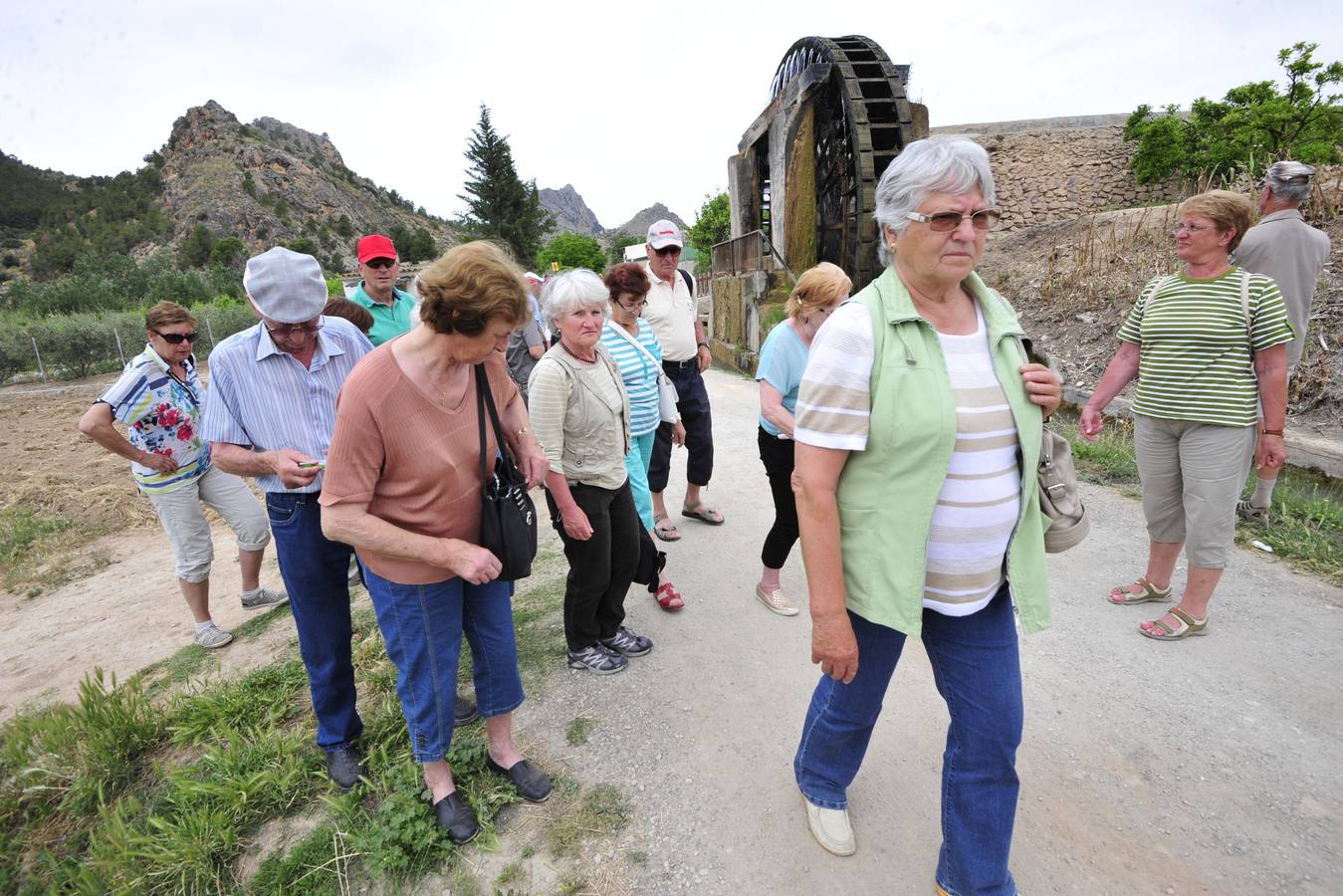 Entre norias y huertos de naranjo