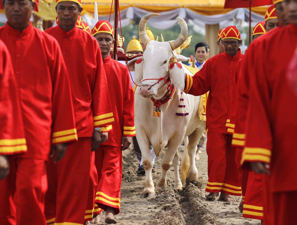 El arroz de la suerte