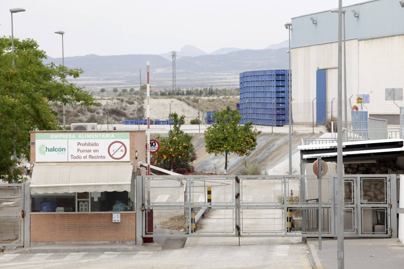 Invasión de mosquitos en Campos del Río
